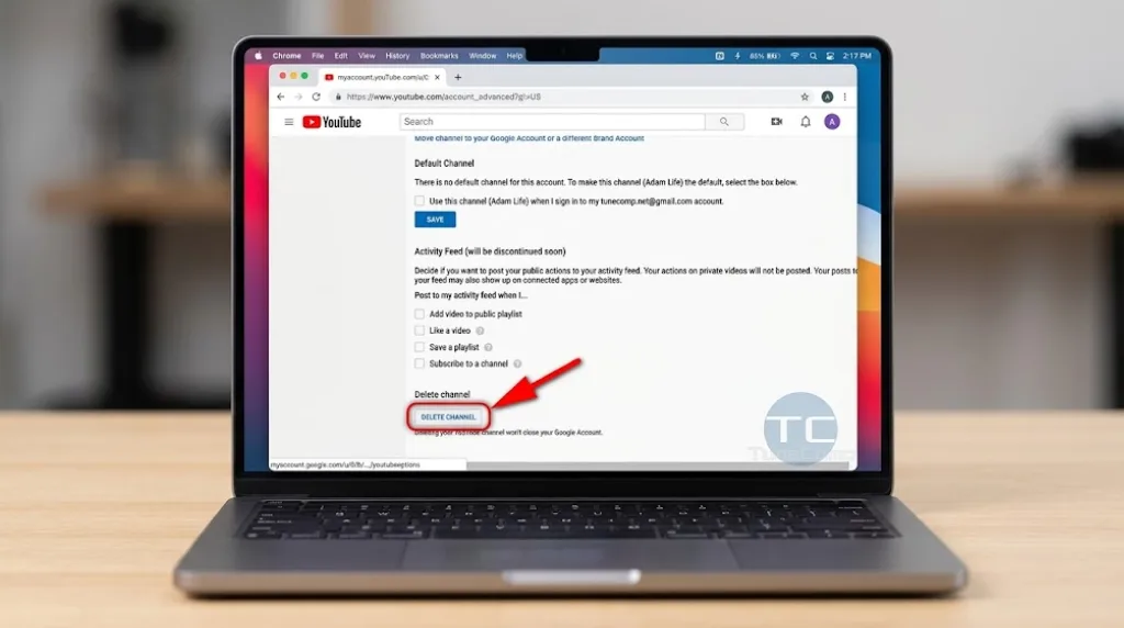 Step-by-step guide showing how to permanently delete or hide a YouTube channel
